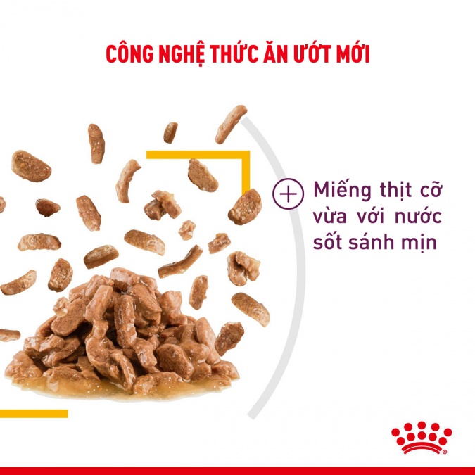 Pate cho mèo Royal Canin Kitten Sensory Feline 85g