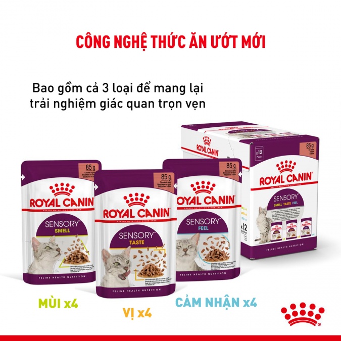 Pate cho mèo Royal Canin Kitten Sensory Feline 85g