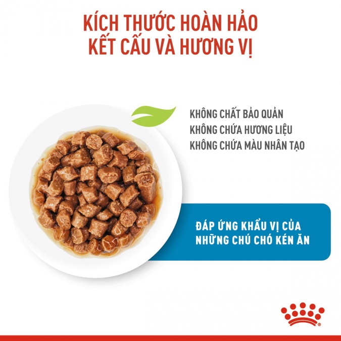 Pate cho chó Royal Canin Mini Puppy 85g