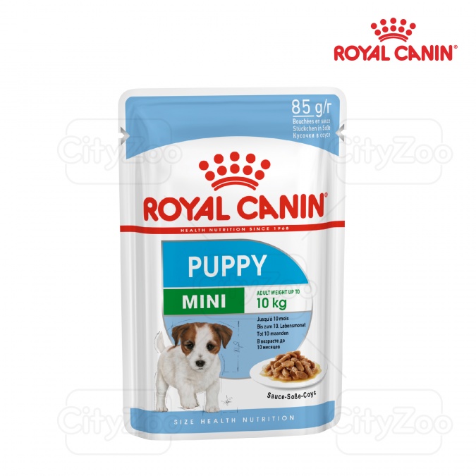Pate cho chó Royal Canin Mini Puppy 85g