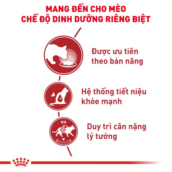 Pate cho mèo Royal Canin Instinctive (Loaf) 85g