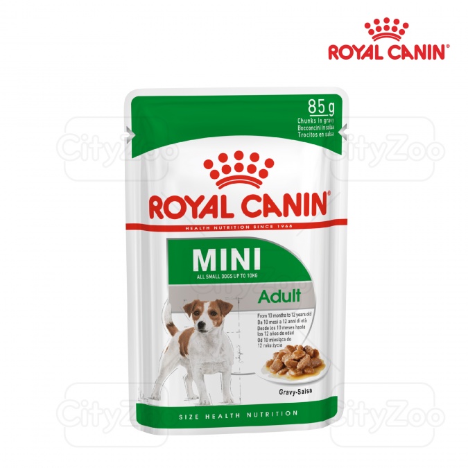 Pate cho chó Royal Canin Mini Adult 85g