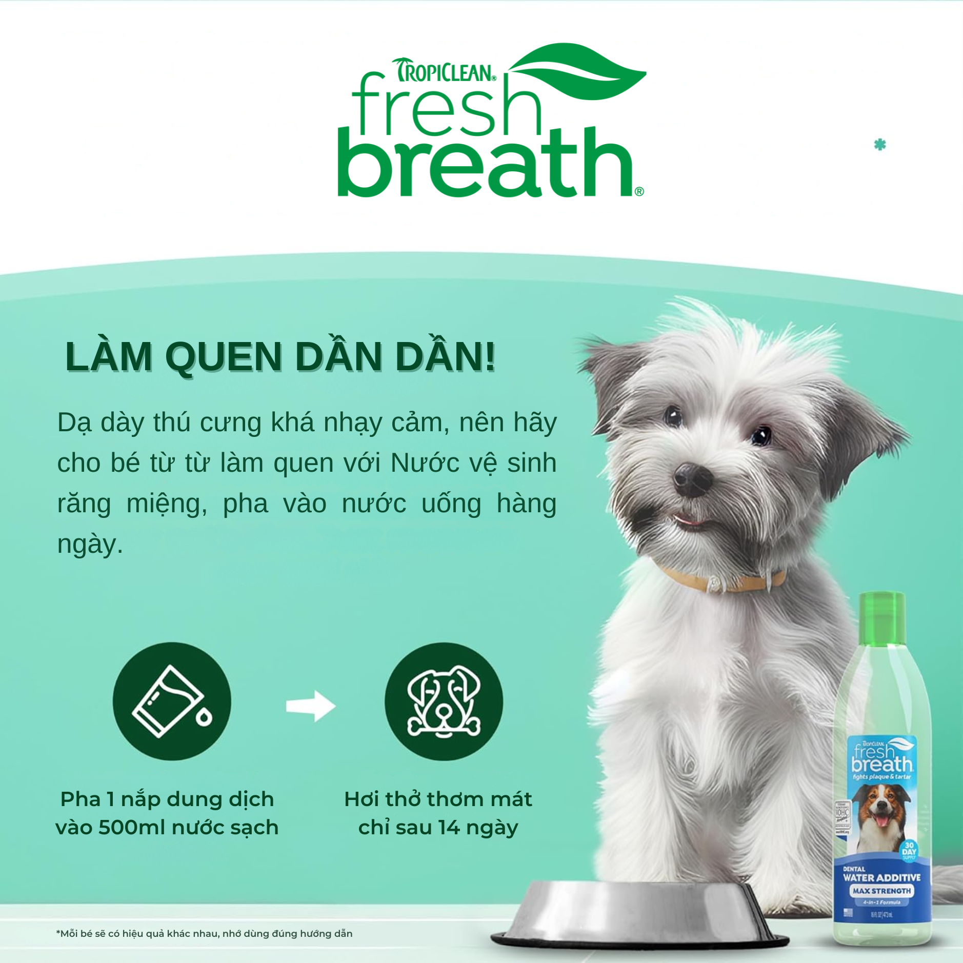 Nước vệ sinh răng miệng TropiClean – hỗ trợ tiết niệu cho mèo 473ml