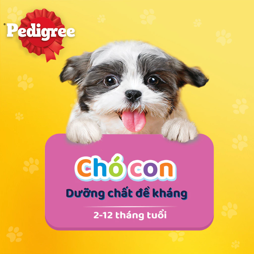 Pate cho chó con dạng sốt Pedigree - Gà nấu sốt 130g