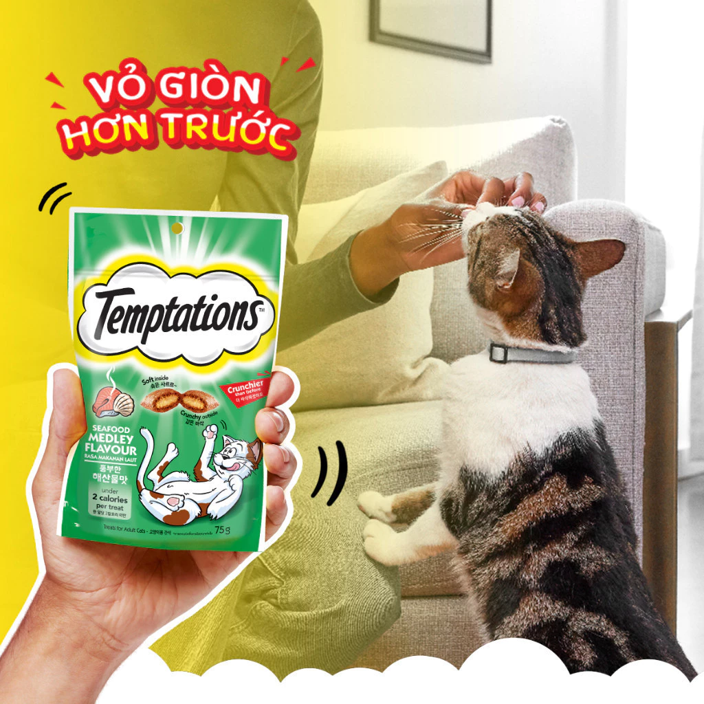 Bánh thưởng Temptations cho Mèo