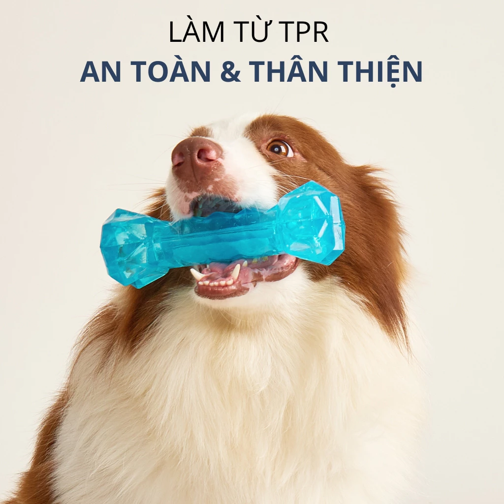 Đồ chơi cho chó xương gặm làm lạnh FOFOS