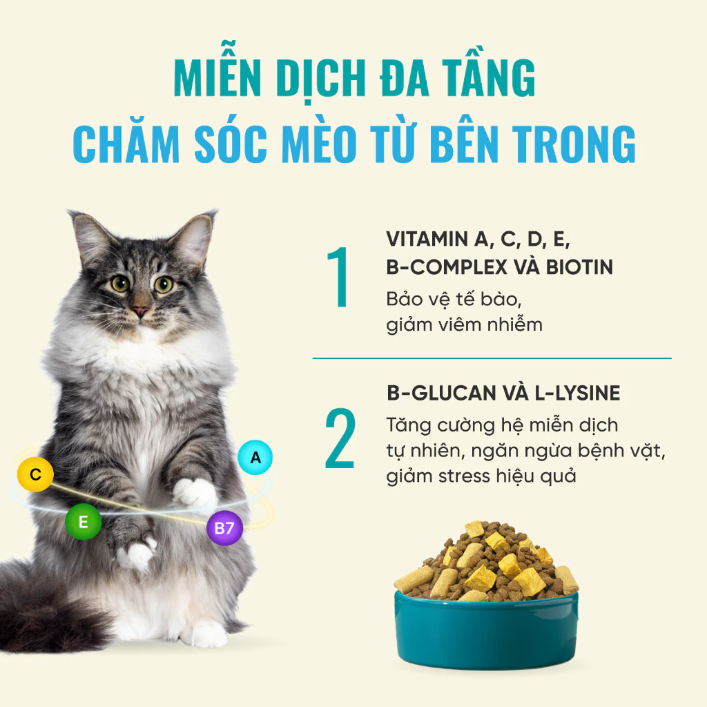 Thức ăn hạt cho mèo mọi lứa tuổi BITE OF WILD F42 Mix 6 Loại Cá 1kg