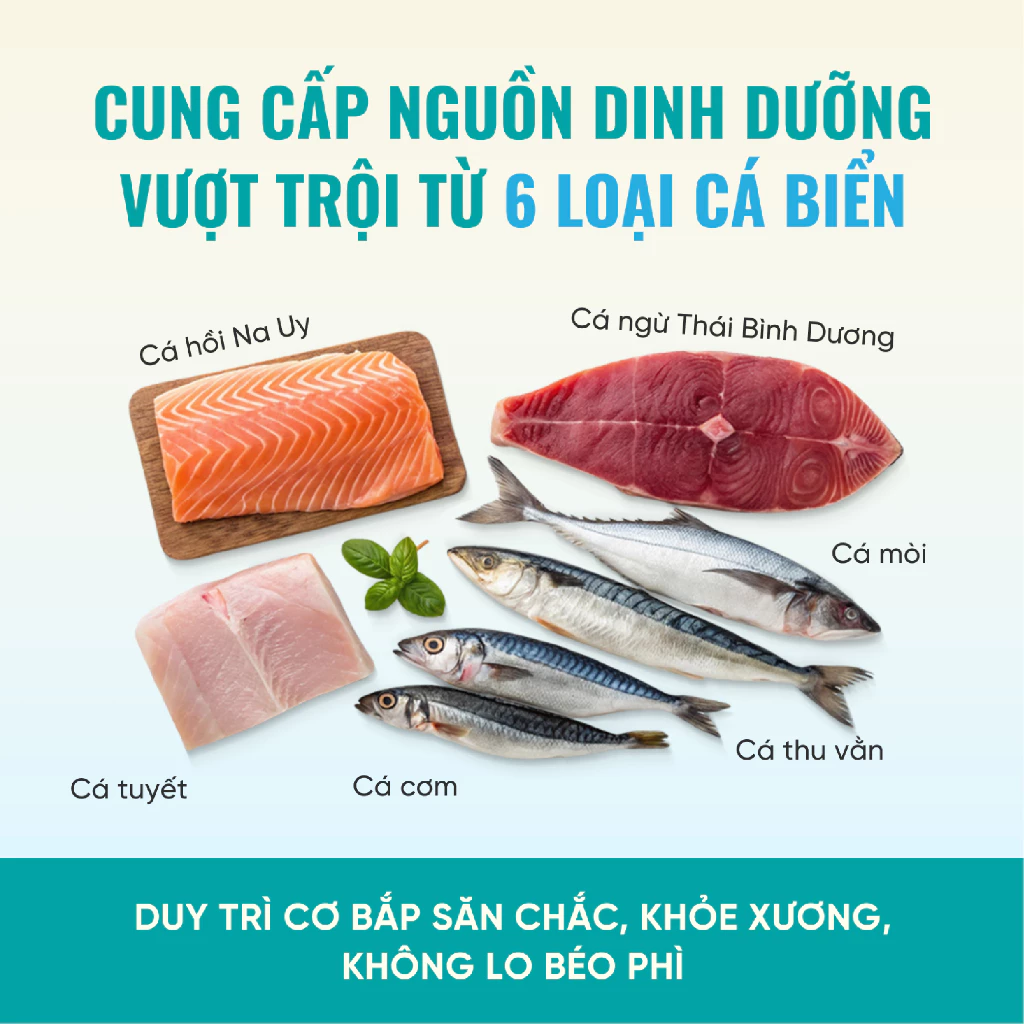 Thức ăn hạt cho mèo mọi lứa tuổi BITE OF WILD F42 Mix 6 Loại Cá 1kg