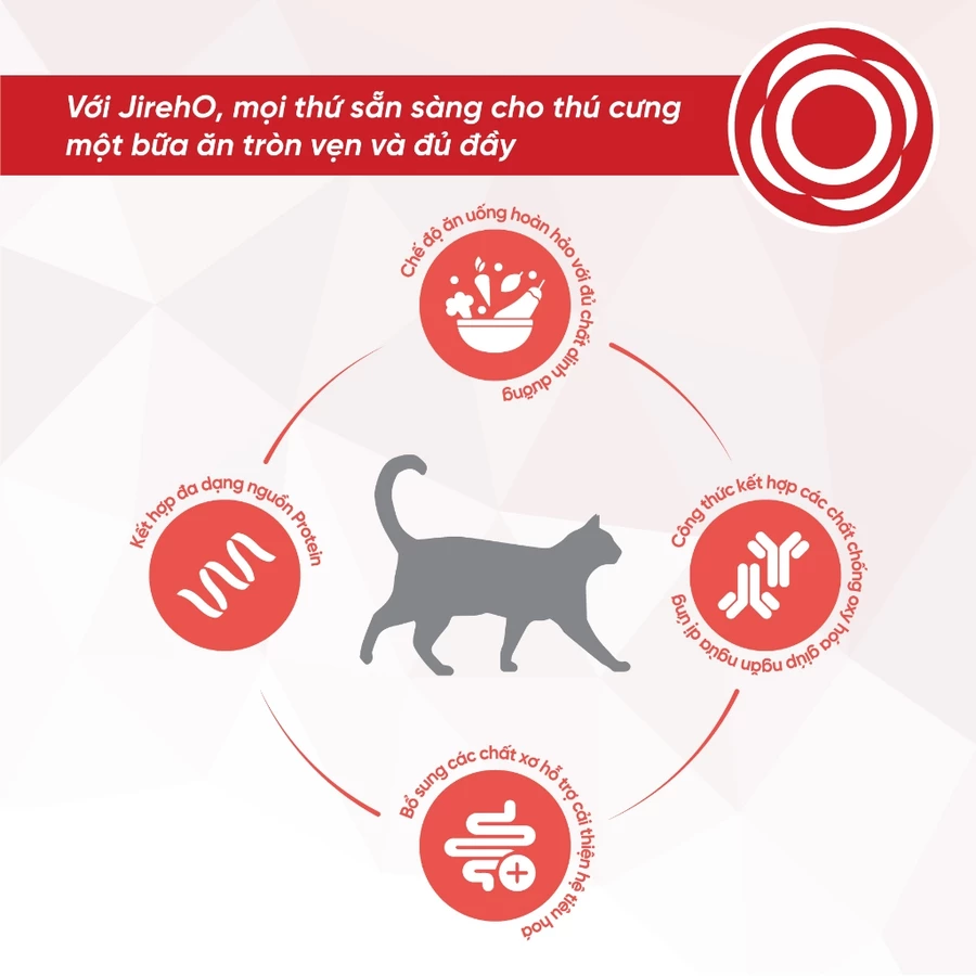 Thức ăn hạt JirehO vị Thịt Gà cho mèo 800g