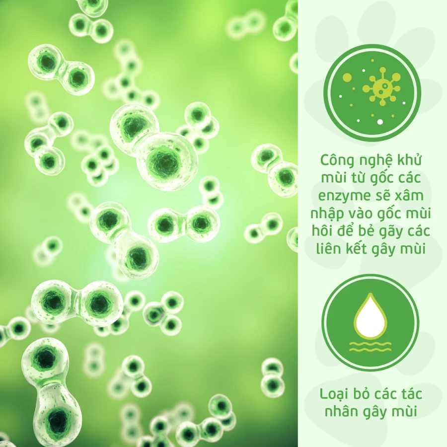 Khử Mùi Răng Miệng Thú Cưng PetGreen Oral Care 500ml