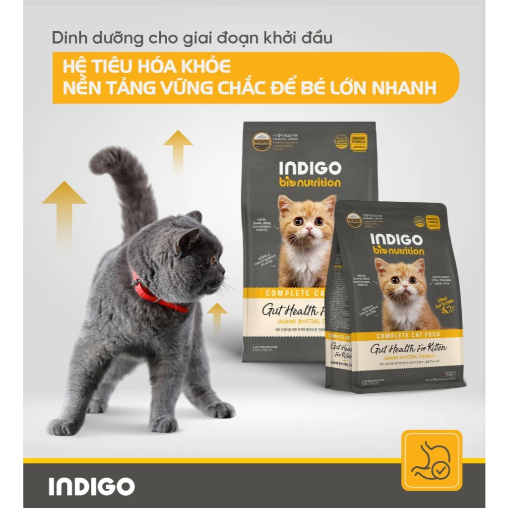 Thức ăn dinh dưỡng cho Mèo Con INDIGO Tăng Cường Tiêu Hóa 2kg
