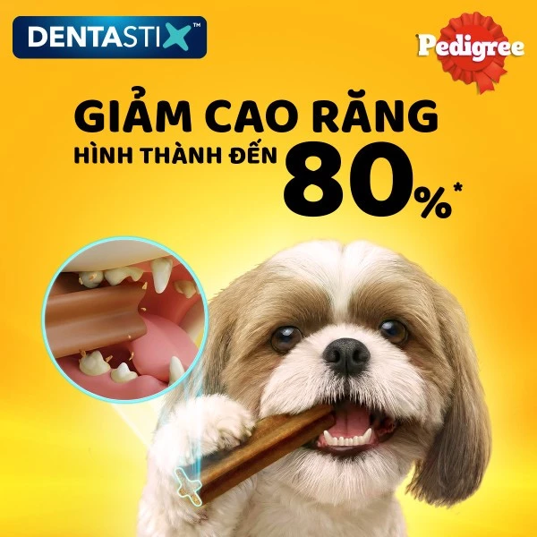 Bánh xương cho chó kiểng Pedigree Dentastix 60g