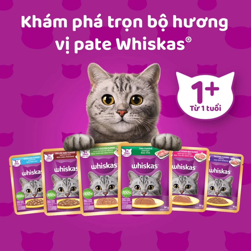 Pate mèo trưởng thành Whiskas Adult vị Cá Ngừ & Gà 80g