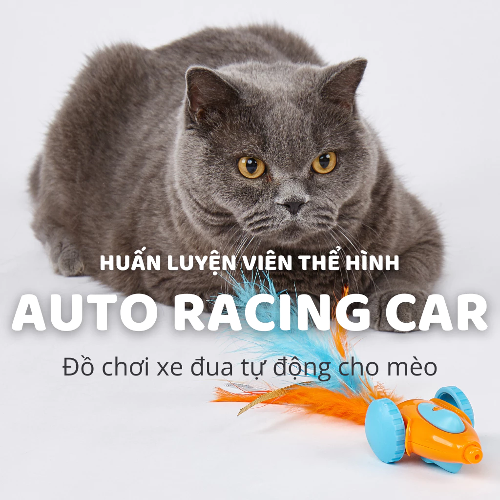 Đồ chơi xe đua tự động cho mèo FOFOS