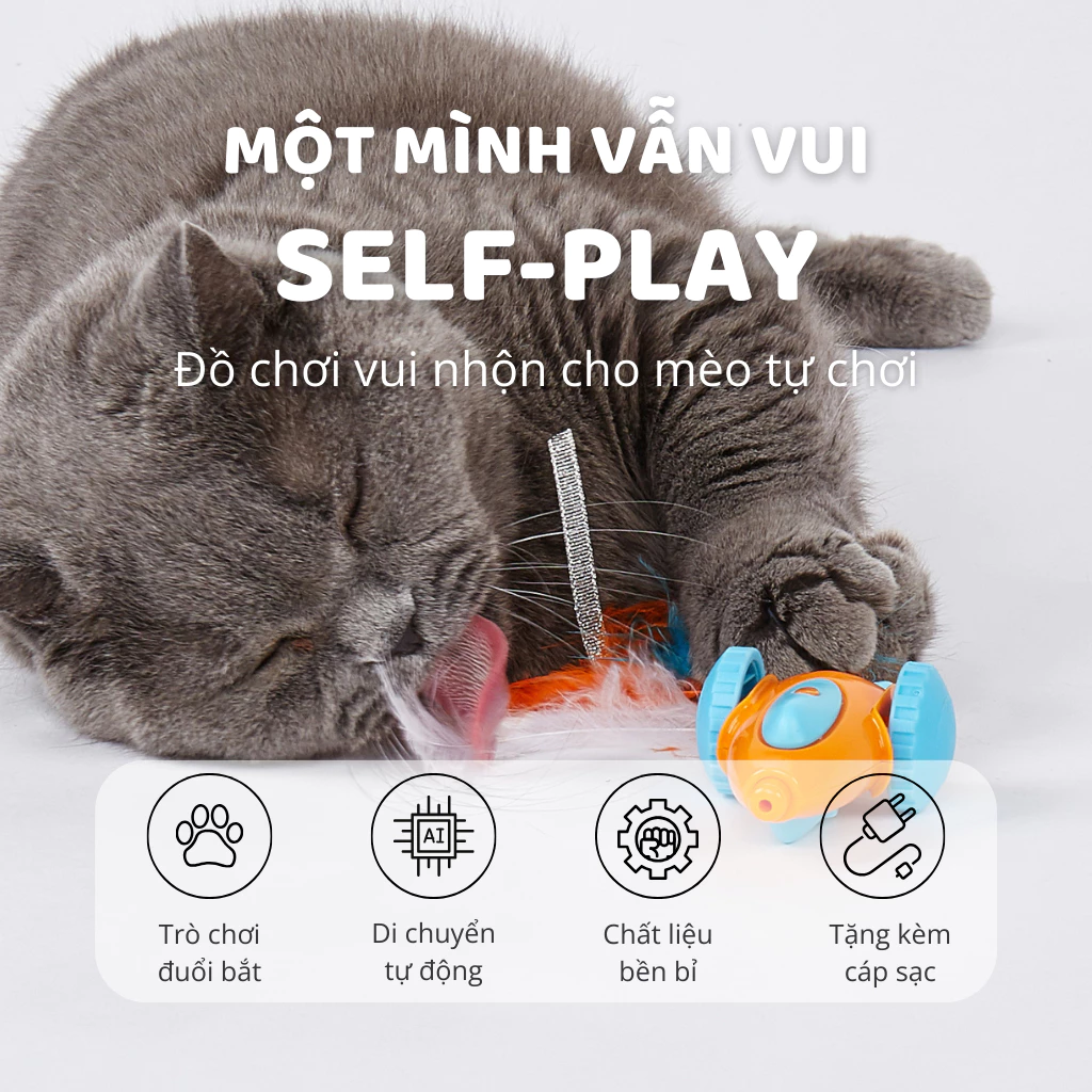 Đồ chơi xe đua tự động cho mèo FOFOS