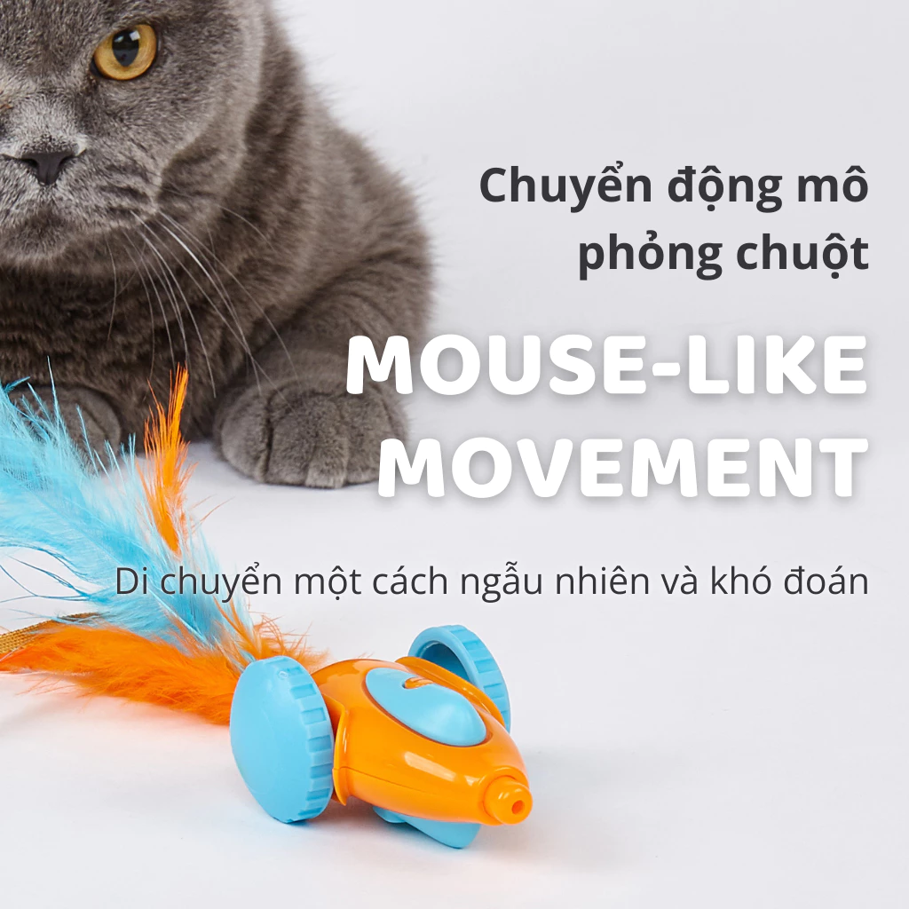 Đồ chơi xe đua tự động cho mèo FOFOS