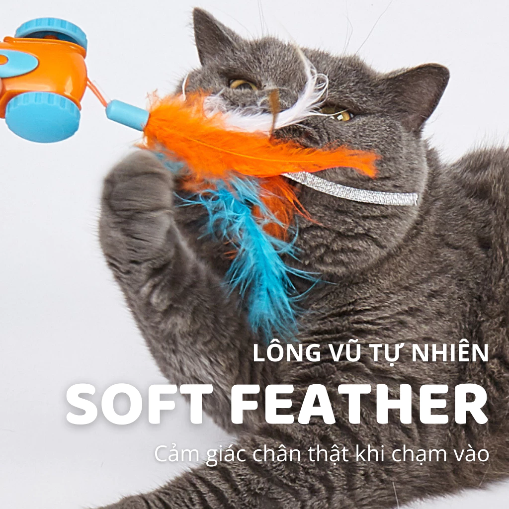 Đồ chơi xe đua tự động cho mèo FOFOS