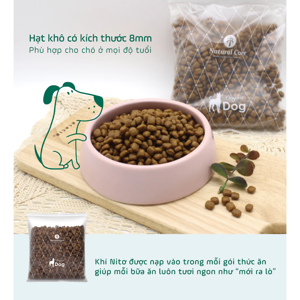 Thức ăn cho chó Natural Core ECO1 Thịt Cừu 1kg