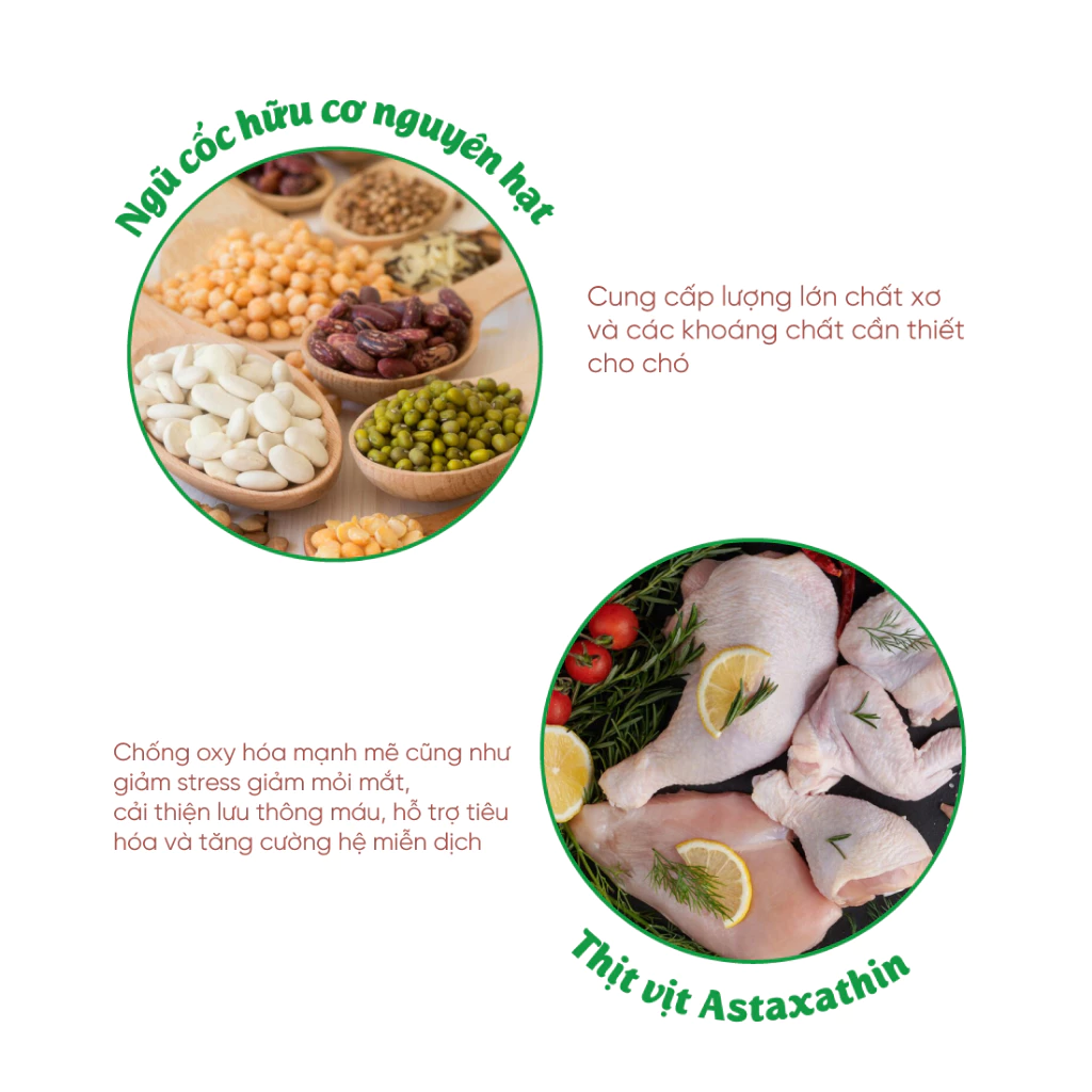 Thức ăn cho chó Natural Core ECO2 Thịt Vịt 1kg