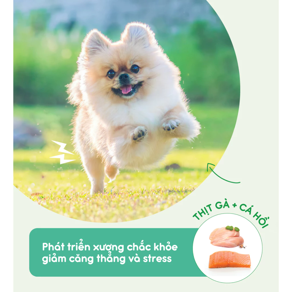 Thức ăn cho chó Natural Core S1 Thịt Gà & Cá Hồi 1kg