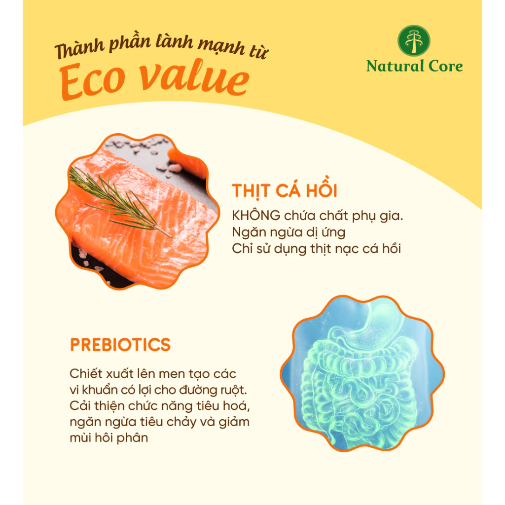 Thức ăn cho chó Natural Core S3 Cá Hồi 1kg
