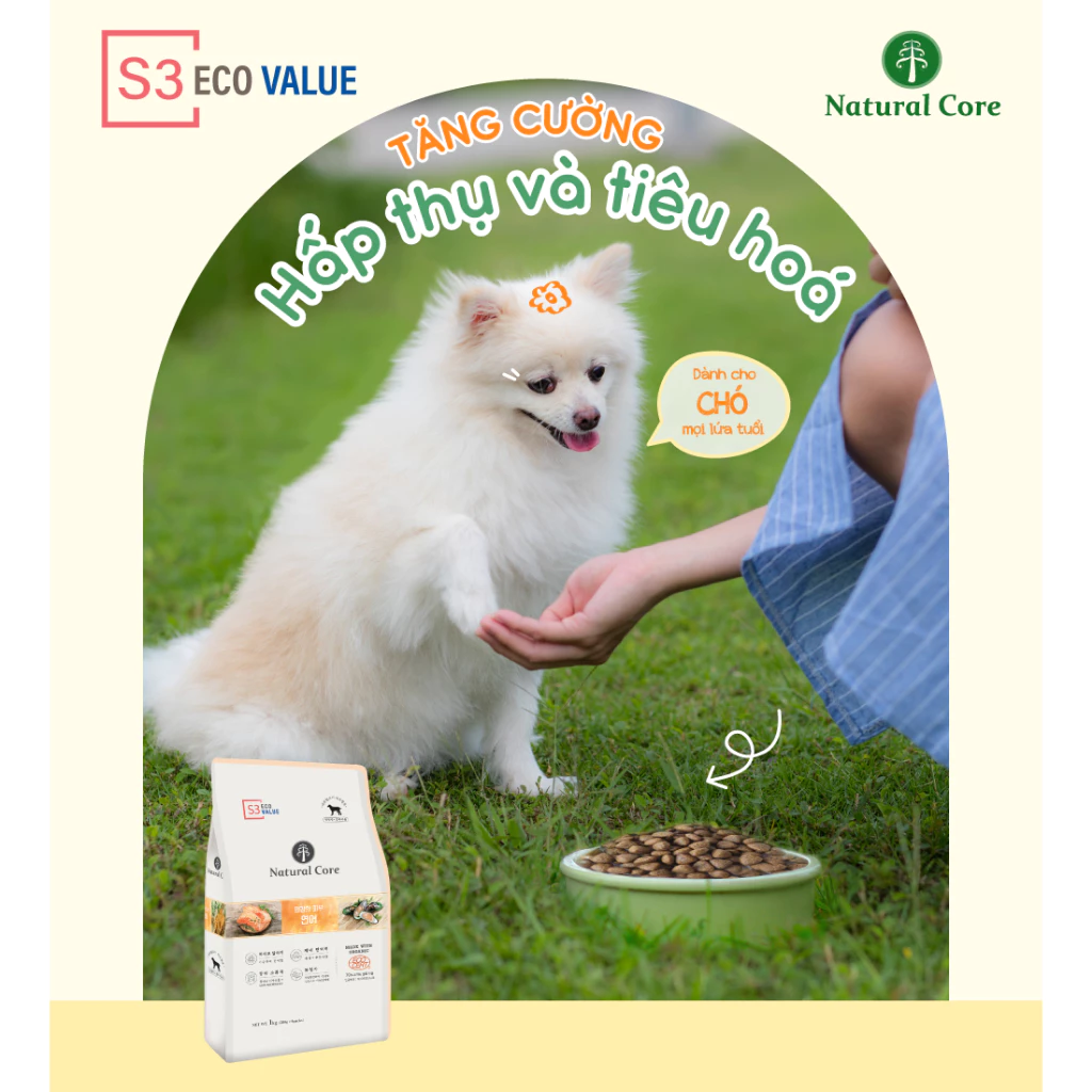 Thức ăn cho chó Natural Core S3 Cá Hồi 1kg