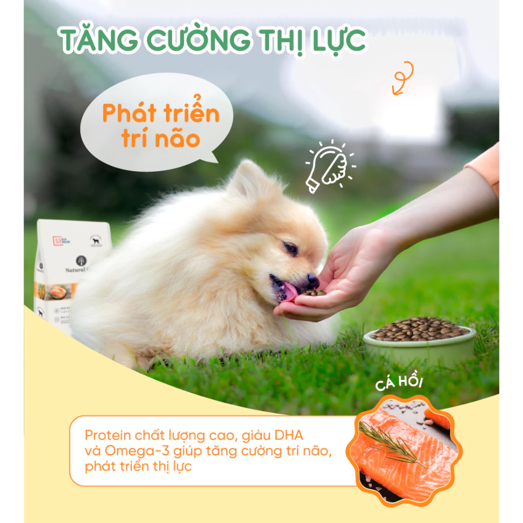 Thức ăn cho chó Natural Core S3 Cá Hồi 1kg