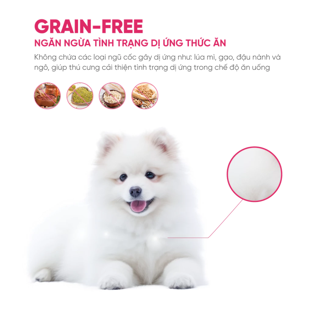 Thức ăn hạt mềm cho chó con - Zenith Puppy 1.2kg