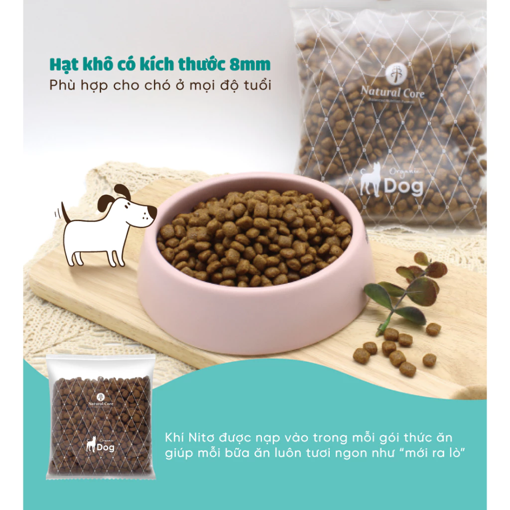 Thức ăn cho chó Natural Core D2 BENE M Thịt gà & Cá hồi