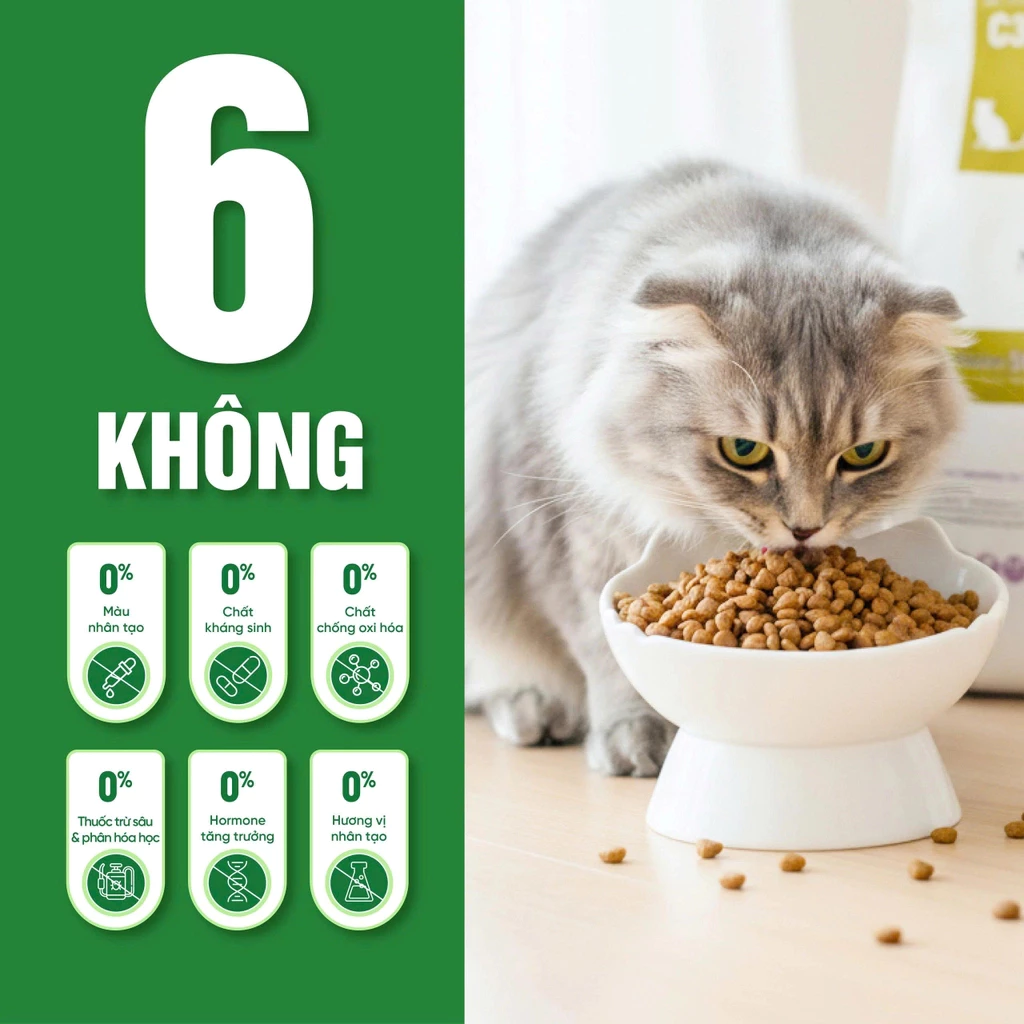 Thức ăn hạt Natural Core C3 BENE 3012 cho mèo Thịt gà & Cá hồi 1,5kg