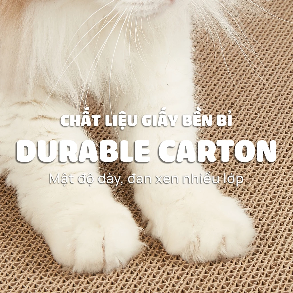 Nhà cào móng mèo hình xe cà phê