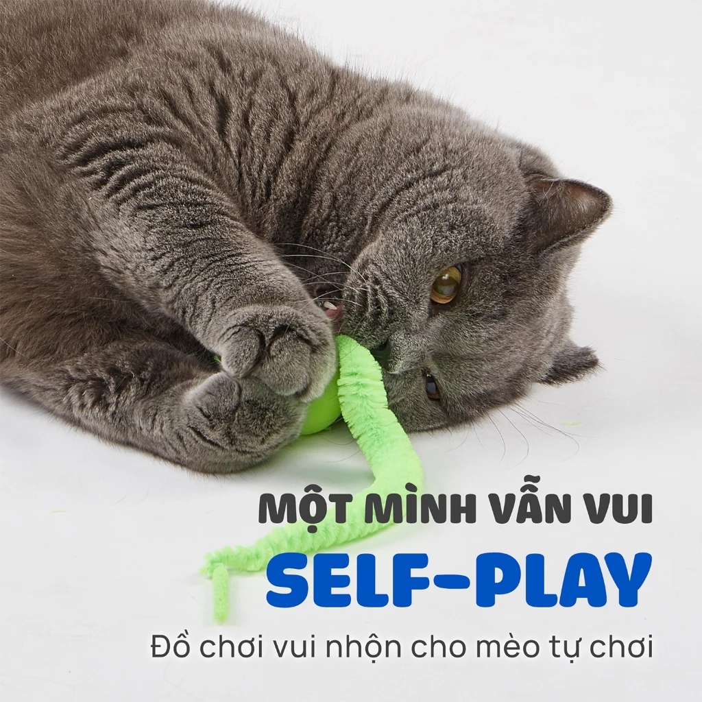 Đồ chơi cho thú cưng bóng nảy phát sáng FOFOS