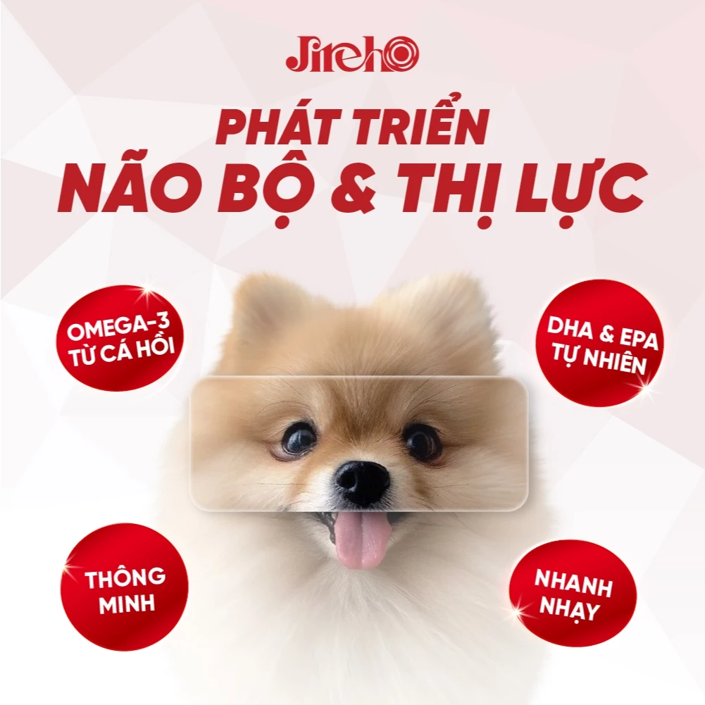 Thức ăn hạt JirehO Cá hồi cho chó con