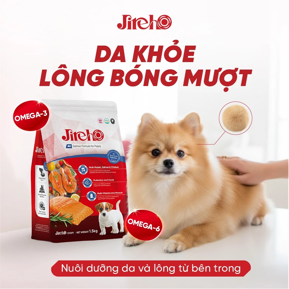Thức ăn hạt JirehO Cá hồi cho chó con