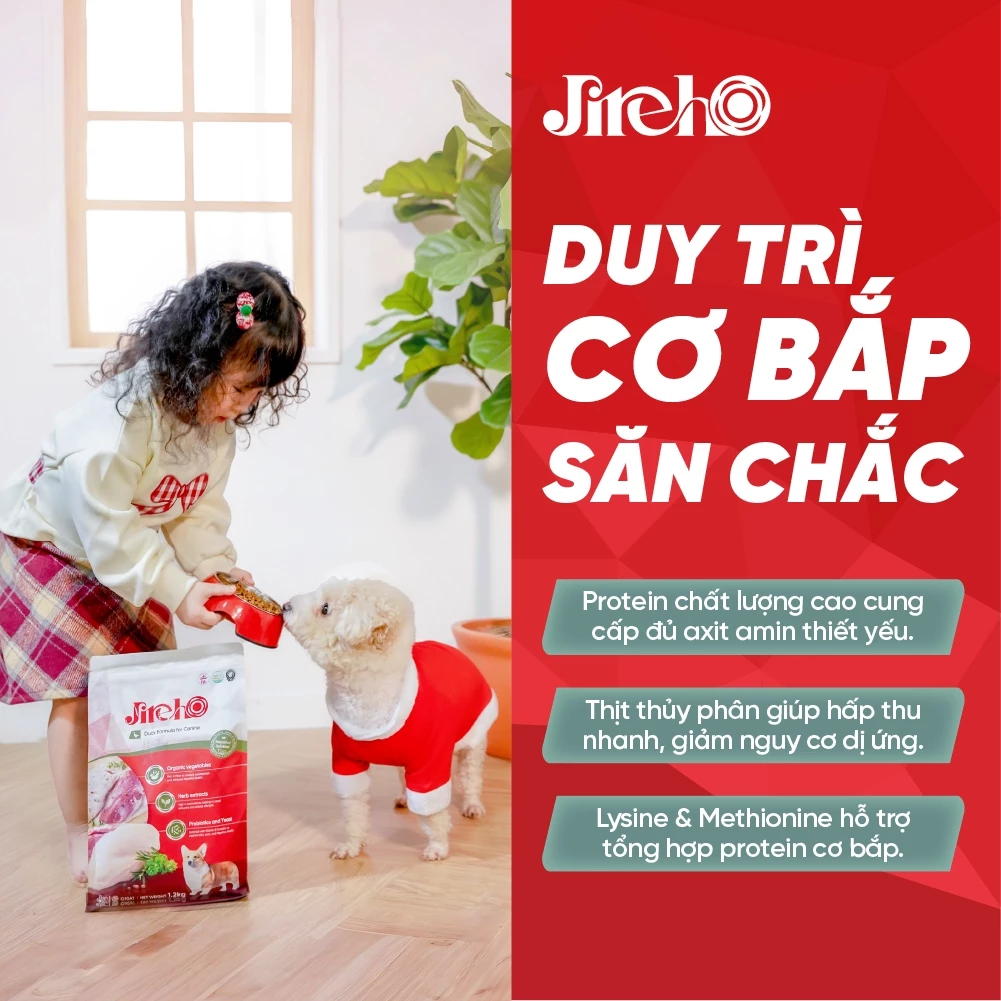 Thức ăn JirehO Thịt Vịt cho chó 1,2kg