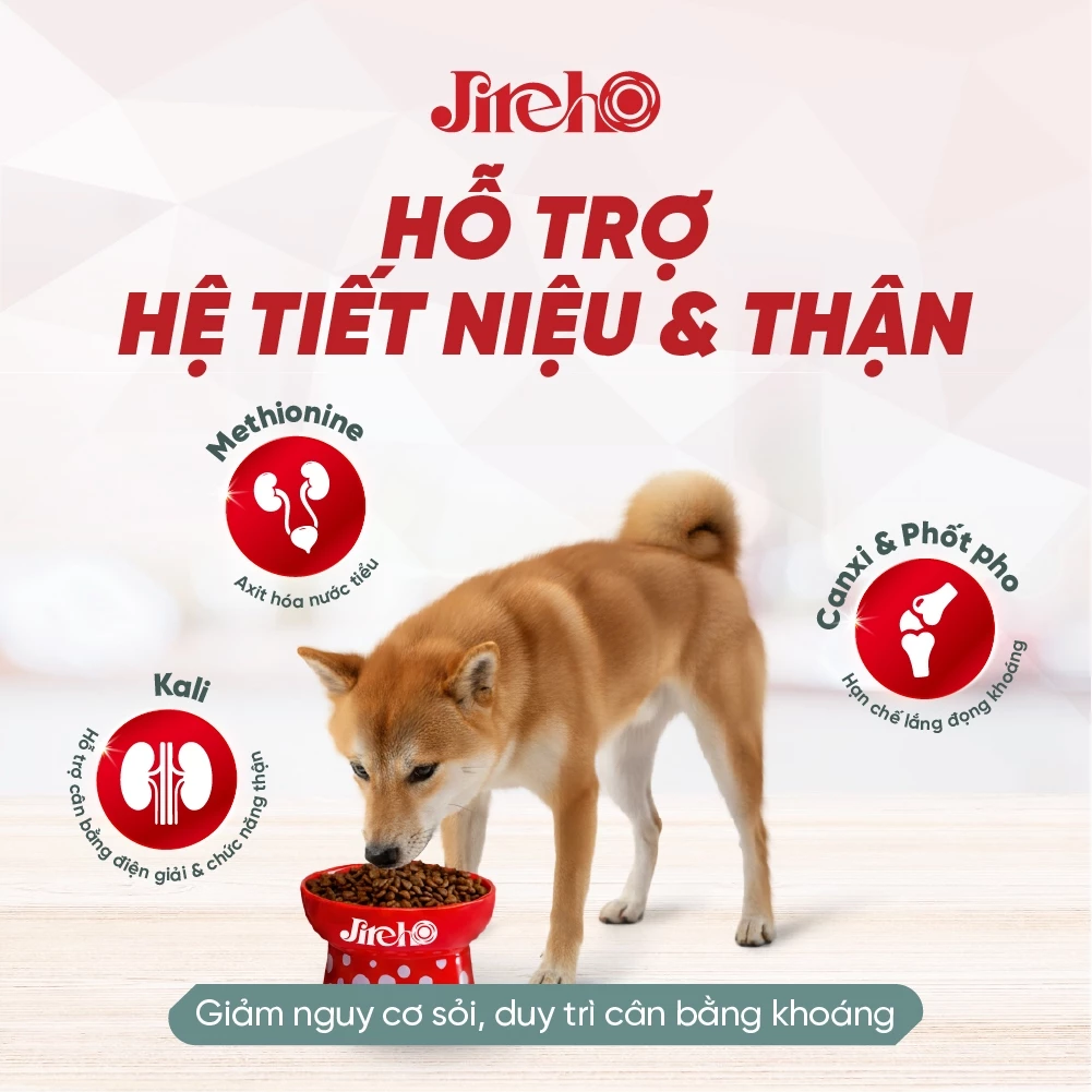 Thức ăn JirehO Thịt Vịt cho chó 1,2kg