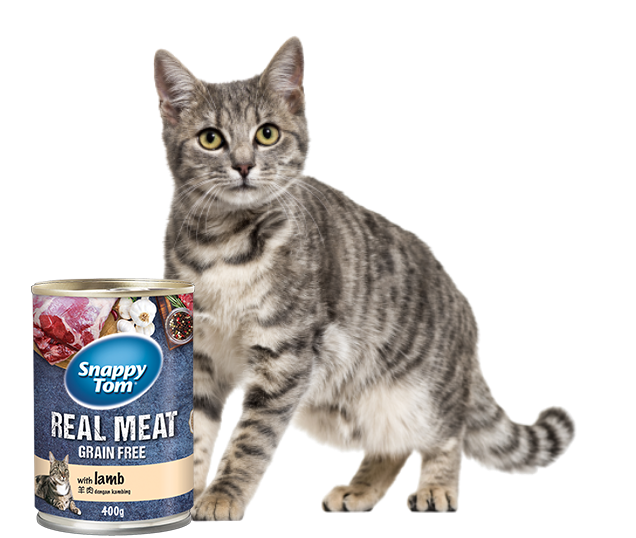 Pate cho mèo Snappy Tom vị Thịt cừu 400g