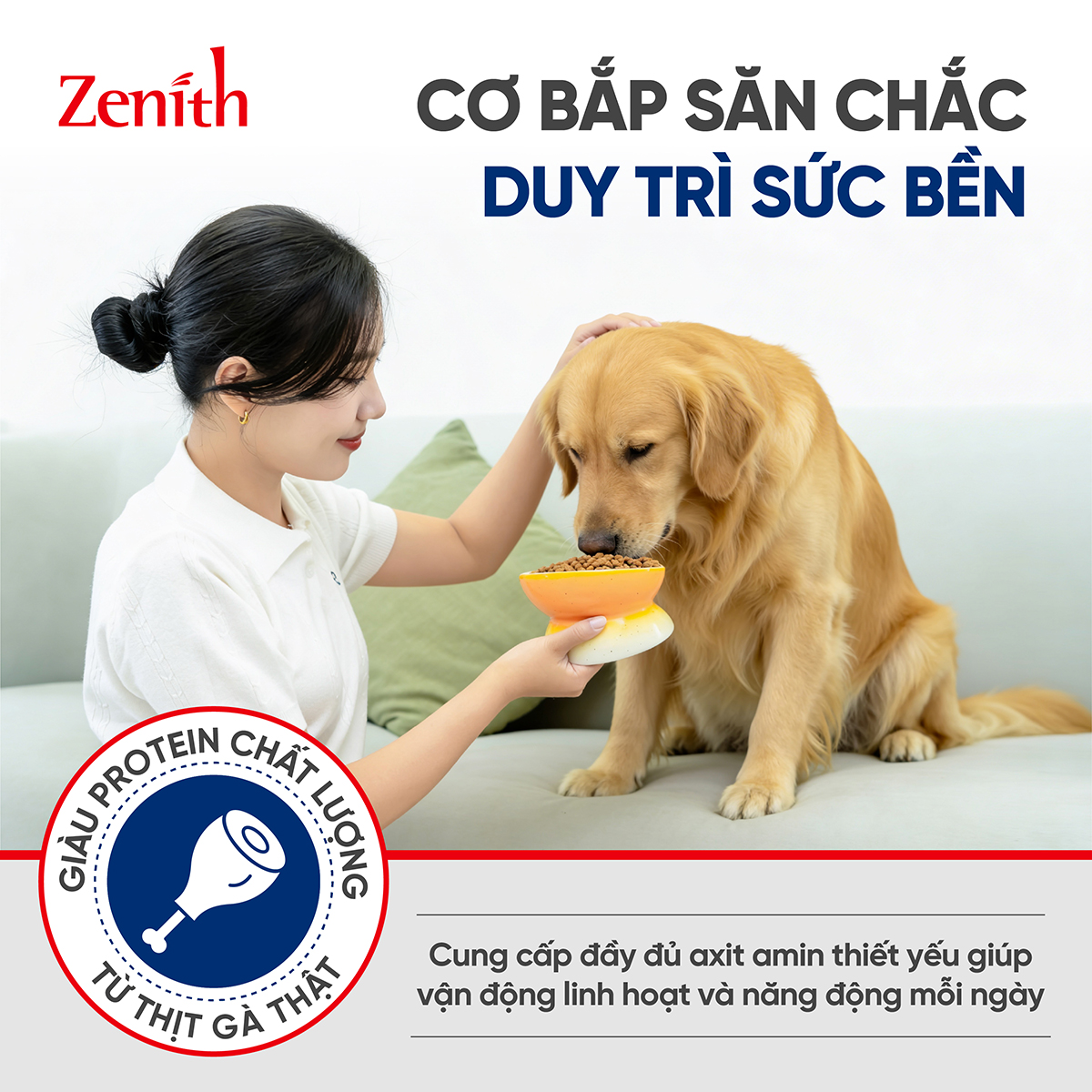Thức ăn hạt mềm Zenith chó Giống Chó Lớn 1kg