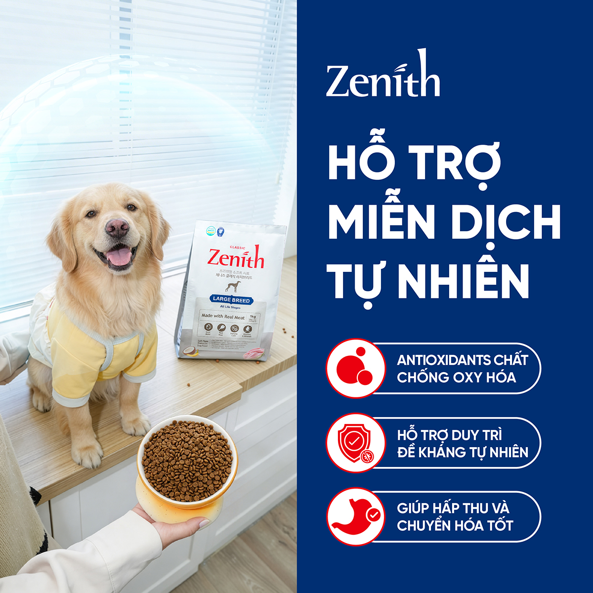 Thức ăn hạt mềm Zenith chó Giống Chó Lớn 1kg