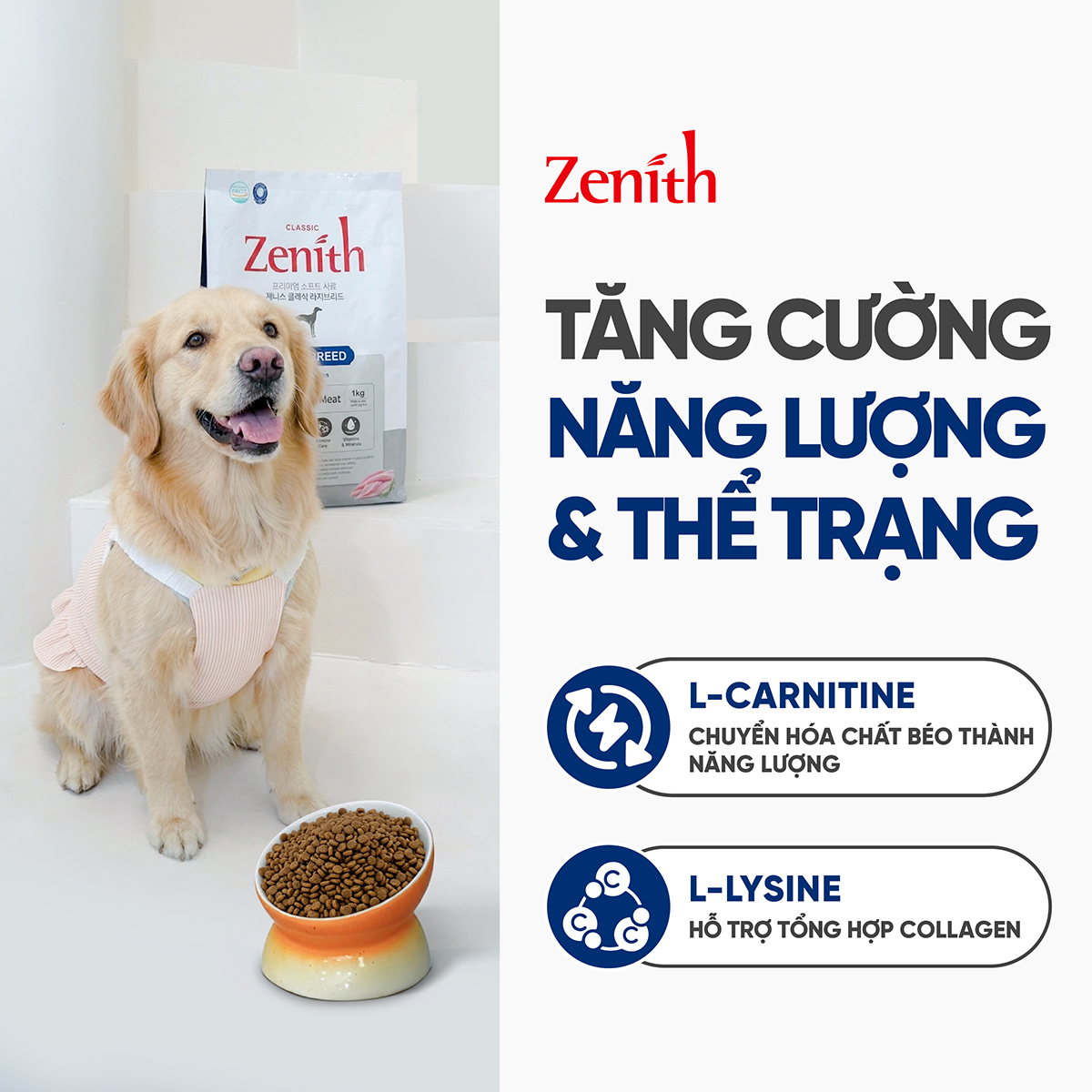 Thức ăn hạt mềm Zenith chó Giống Chó Lớn 1kg