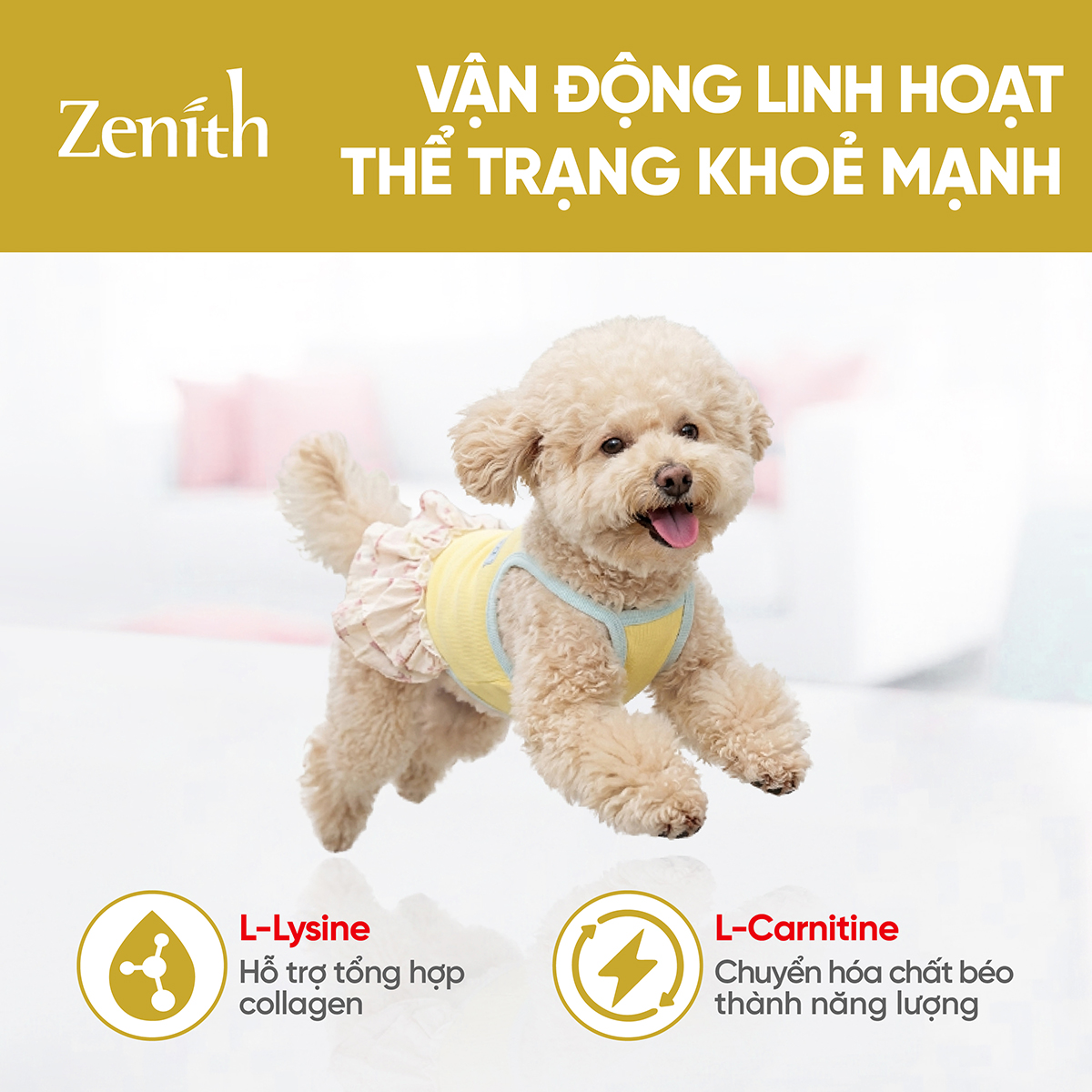 Thức ăn hạt mềm Zenith chó Giống Nhỏ 1kg