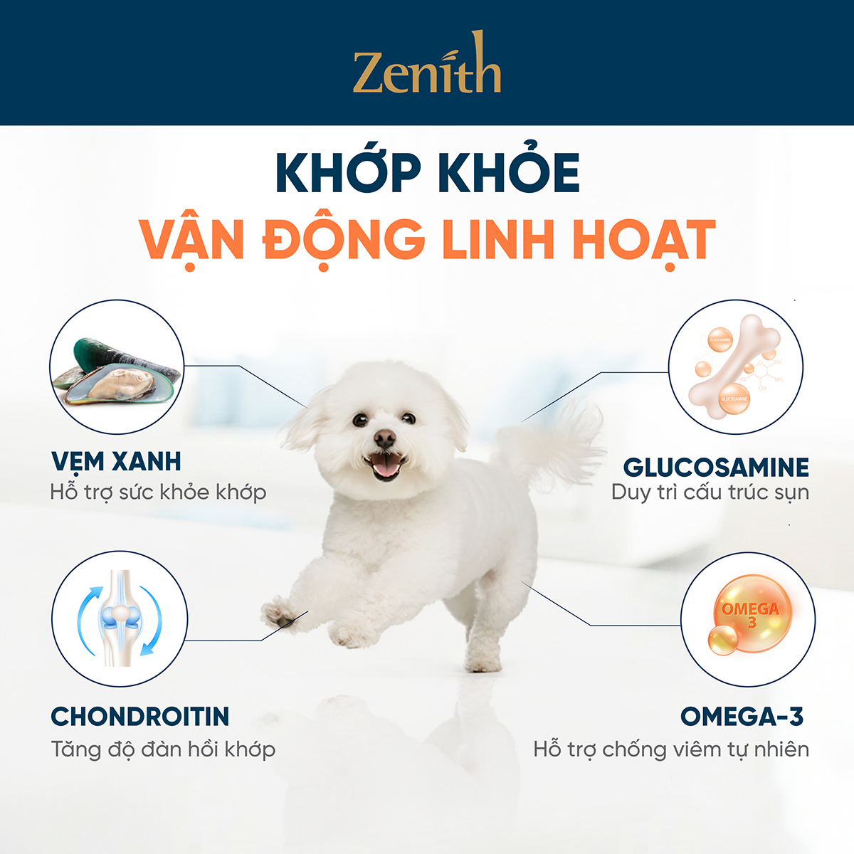 Thức ăn hạt mềm Zenith cho Chó mọi lứa tuổi Thịt Gà