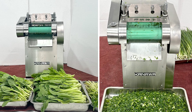 Máy Thái Rau Củ Quả Công Nghiệp Loại Nào Tốt?