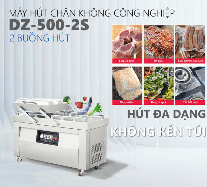 Máy hút chân không 2 buồng DZQ-500-2SA công nghiệp
