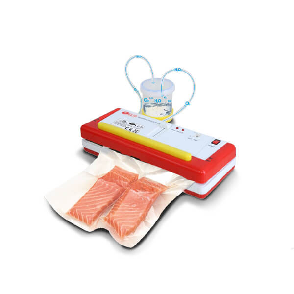 Máy hút chân không DZ-300B mini