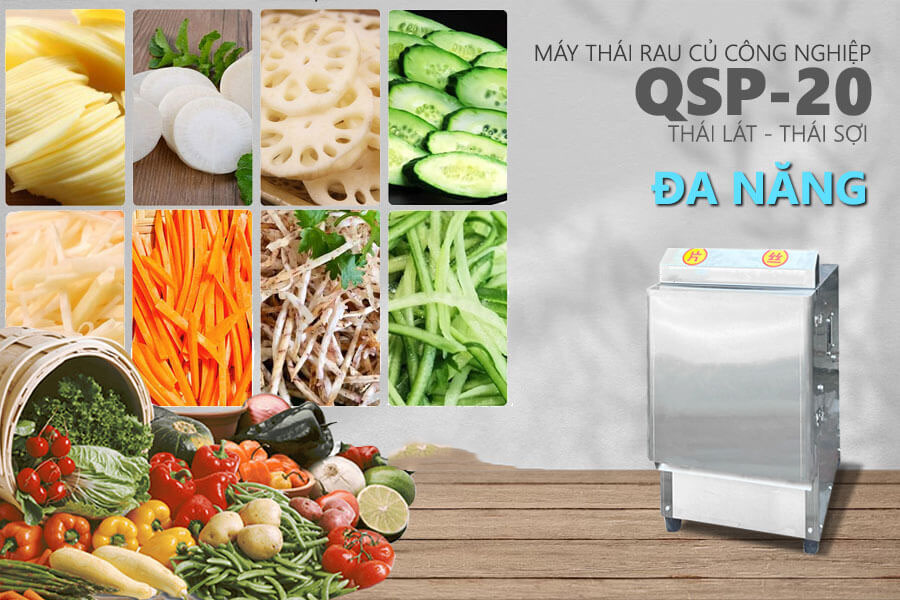Máy Thái Rau Củ QSP-20