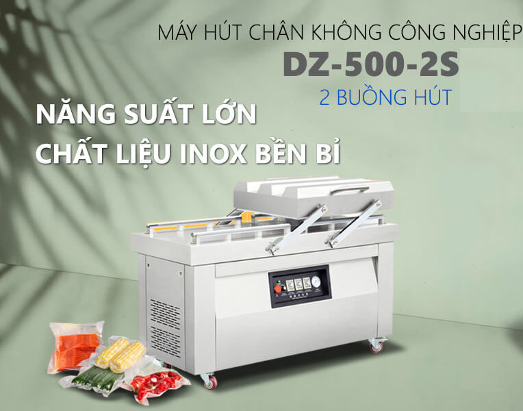 Máy hút chân không 2 buồng DZQ-500-2SA công nghiệp