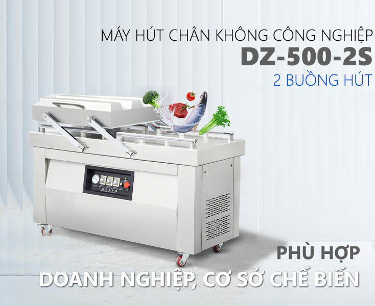 Máy hút chân không 2 buồng DZQ-500-2SA công nghiệp