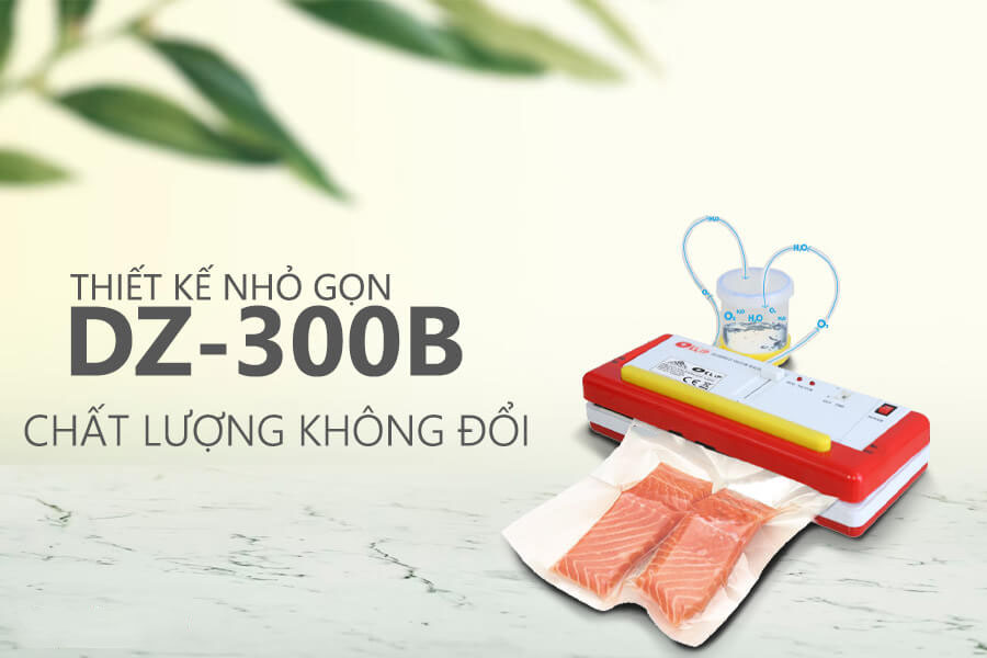 Máy hút chân không DZ-300B mini