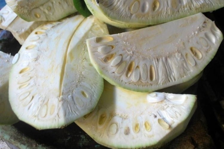 MÍT NON LUỘC CẮT KHÚC ĐÔNG LẠNH